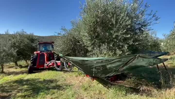 The shaker in action. A short, sharp burst of vibration which makes the ...