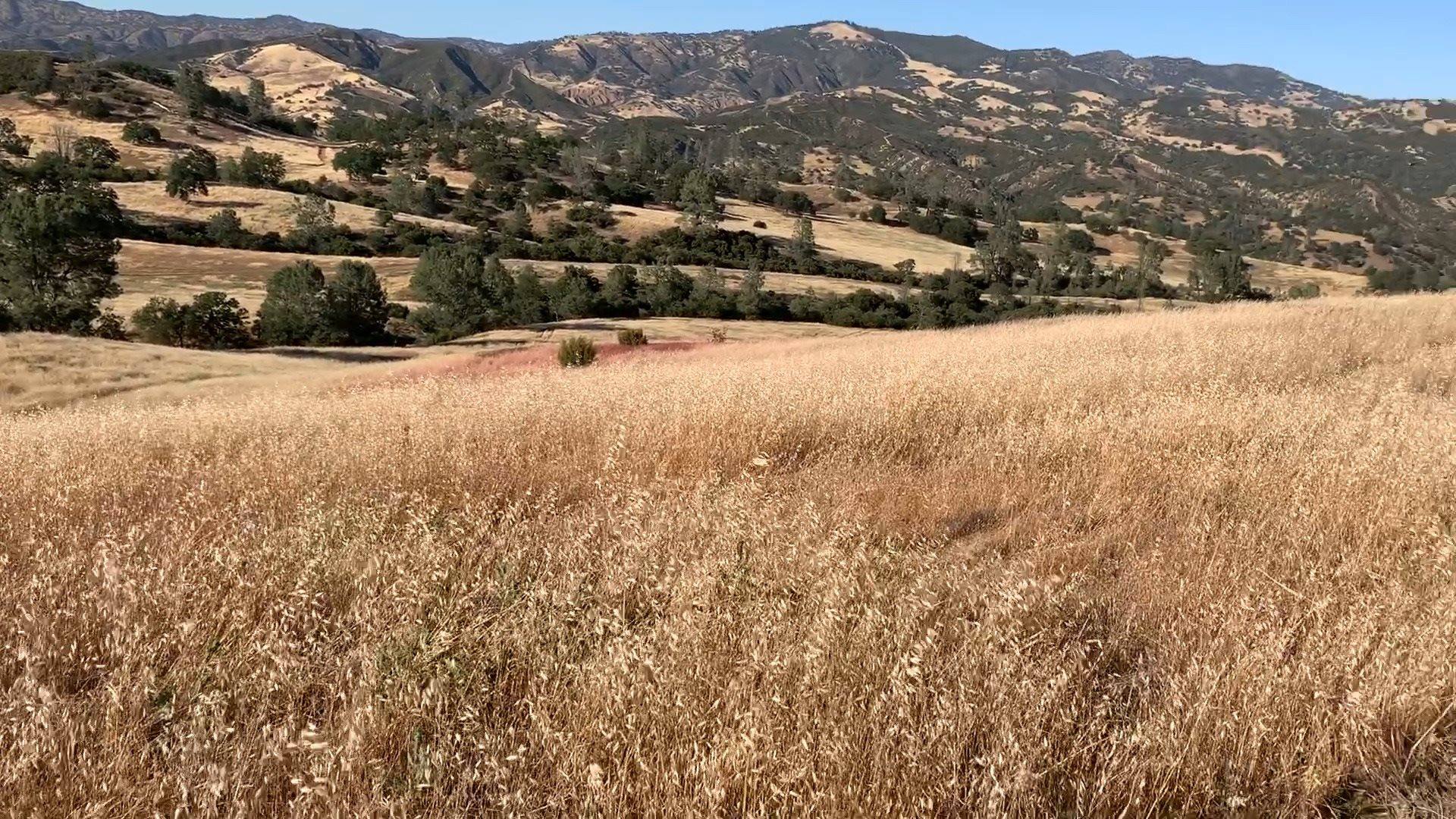 The Baumgartner Ranch | Paicines CA