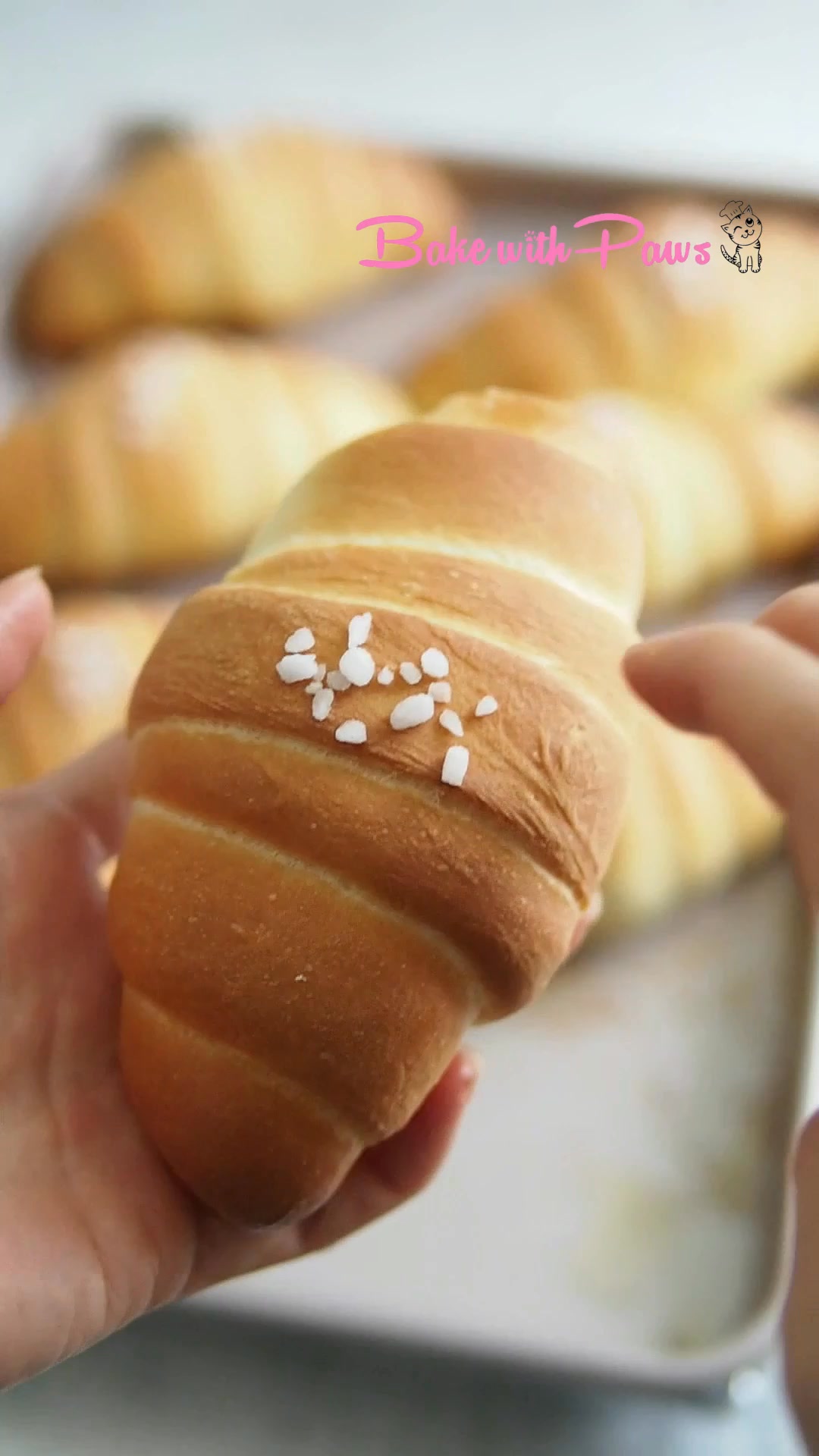 Crackly, buttery shio pan is also known as 