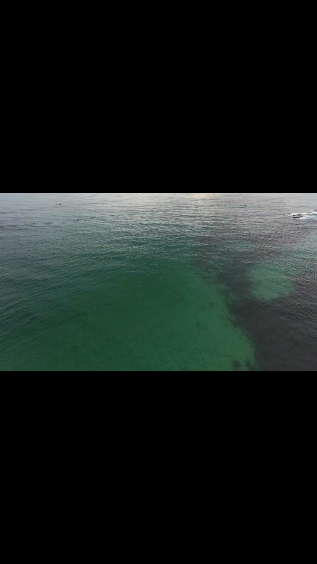 Matt Turvey on Reels | Facebook