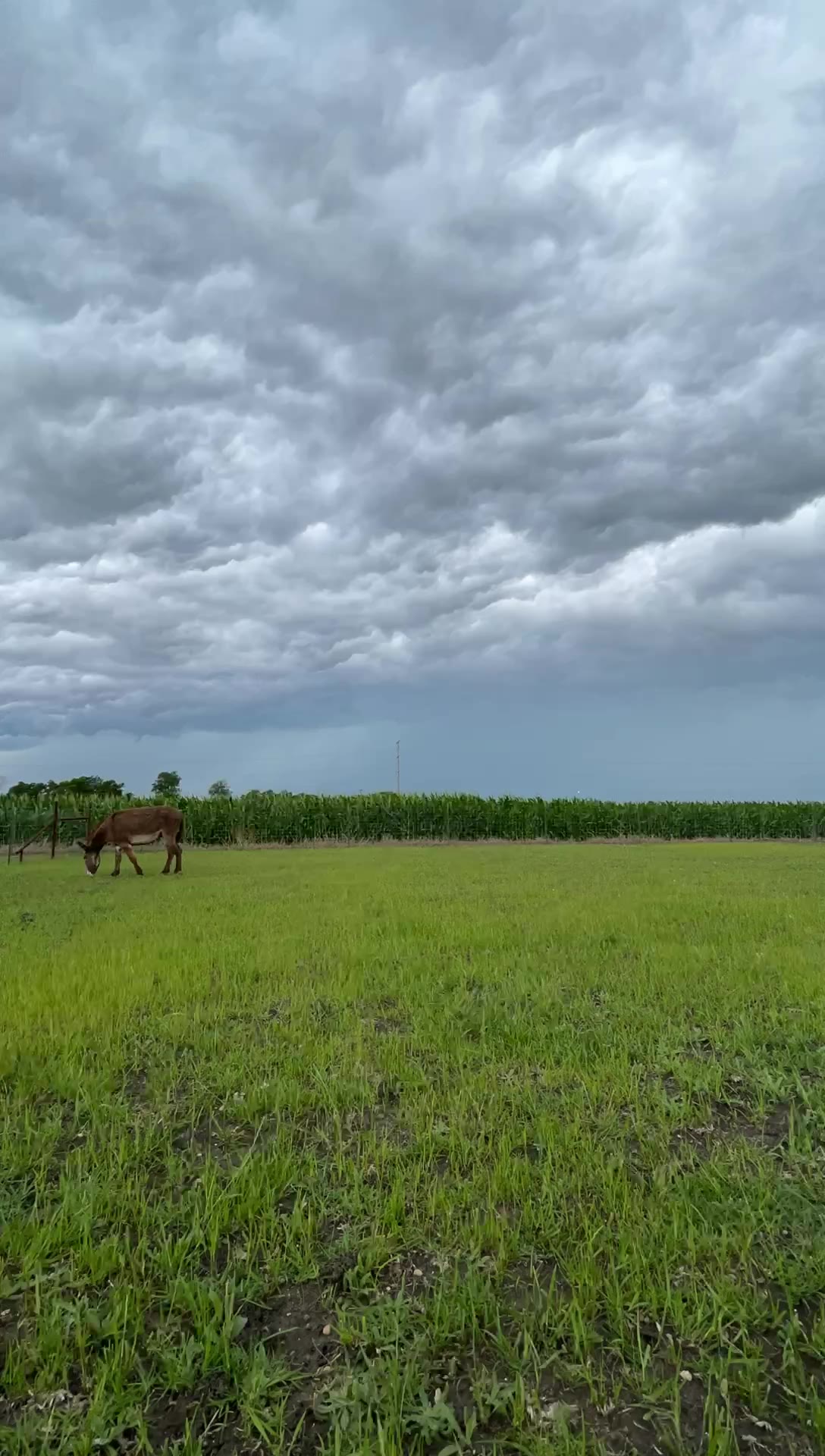 B & J Ranch | Hutto TX