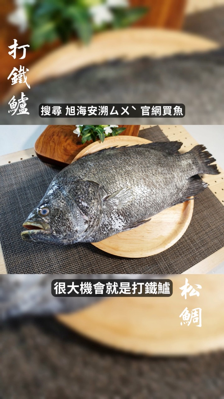 打鐵鱸（松鯛）有一個既危險卻可愛的習性！｜搜尋旭海安溯ㄙㄨ、水產官網，點擊【長工阿良嚴選】可買打鐵鱸，但是只有一尾 #海鮮 #打鐵鱸 #水產 ...