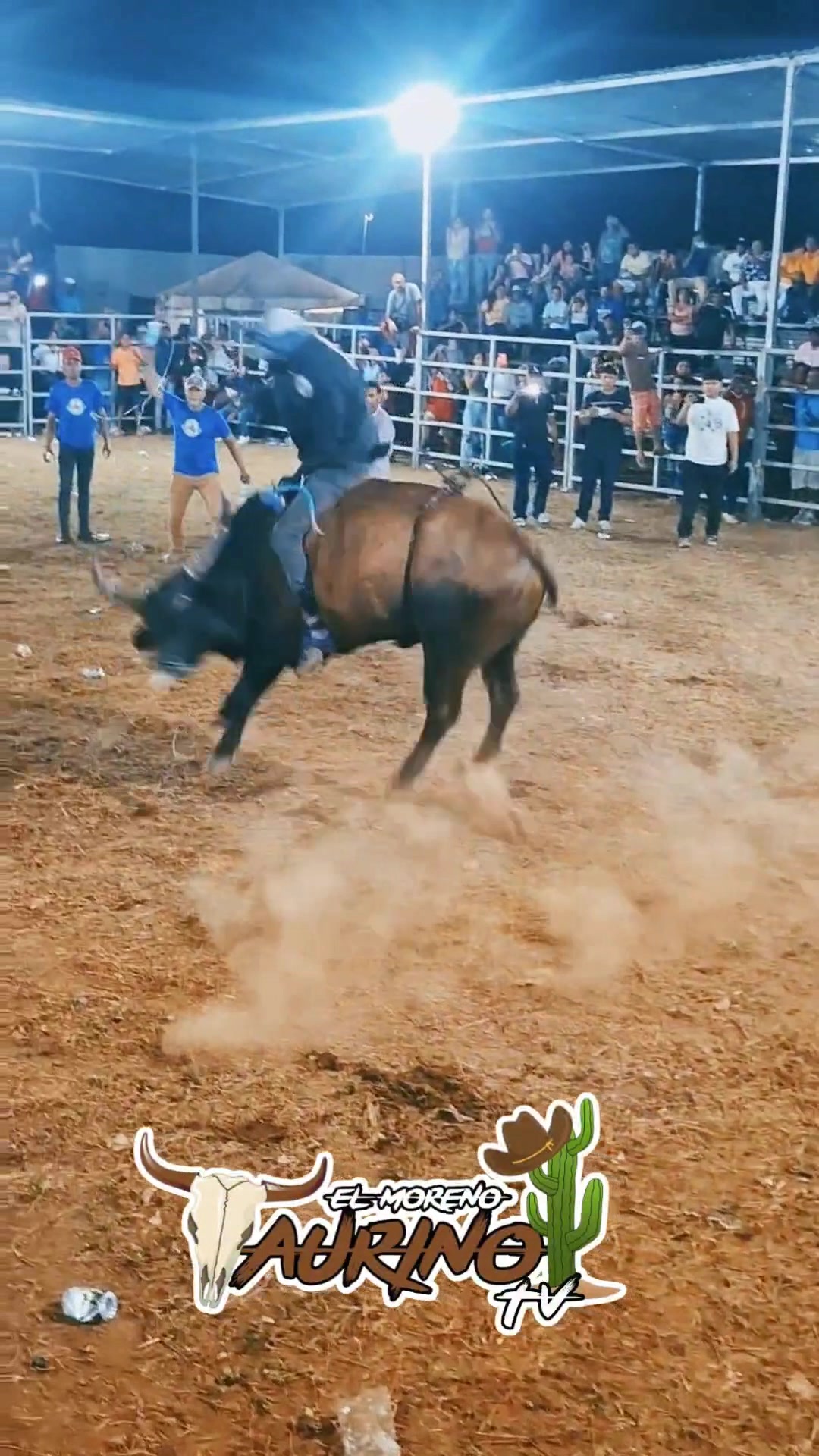 El rosita de Ganaderia Denis Incer vs Tyson la bestia Negra en el ...