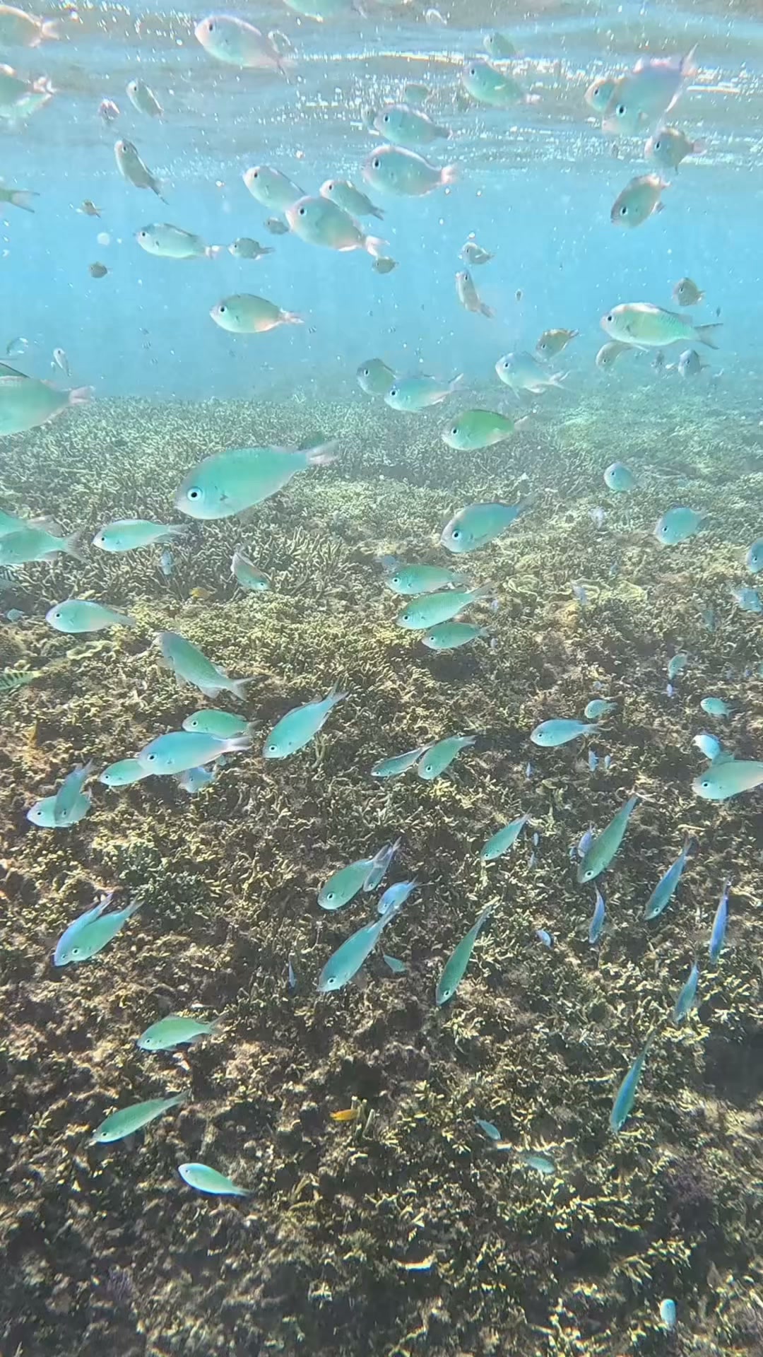 ◼️断捨離