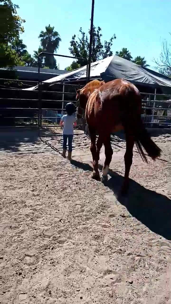 Twisted Bit Ranch Madera - Home