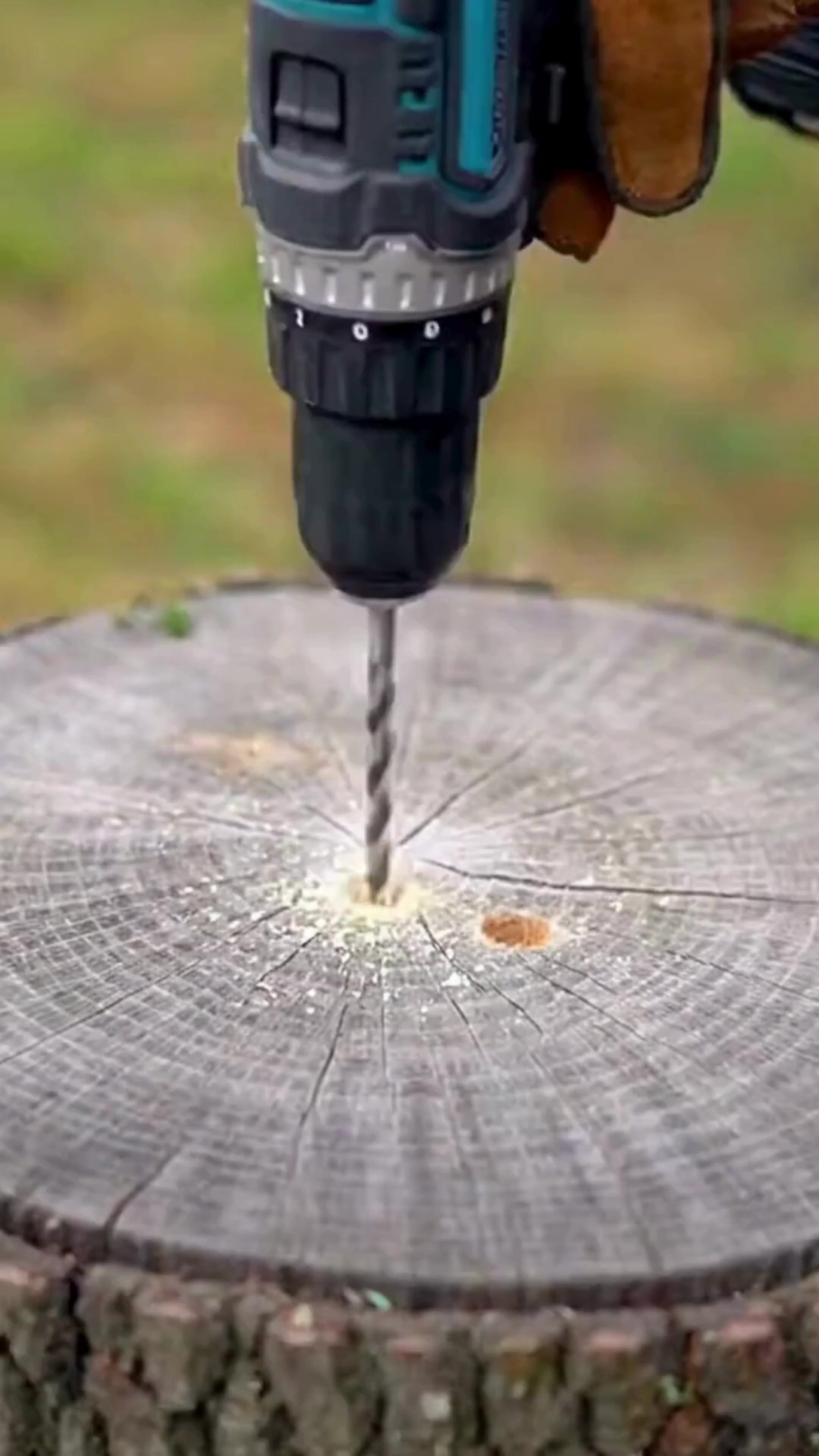 How to Remove a Tree Stump: 4 Alternative Methods ... See more 👇 ...