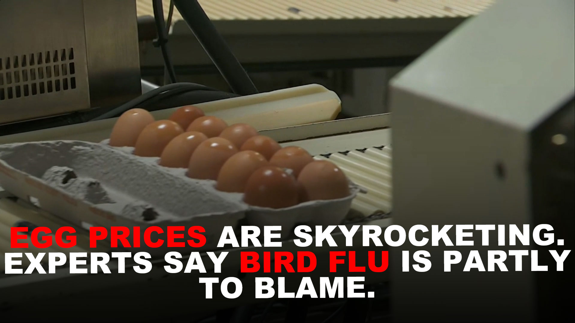 Egg prices are skyrocketing, with experts saying bird flu is partly to ...