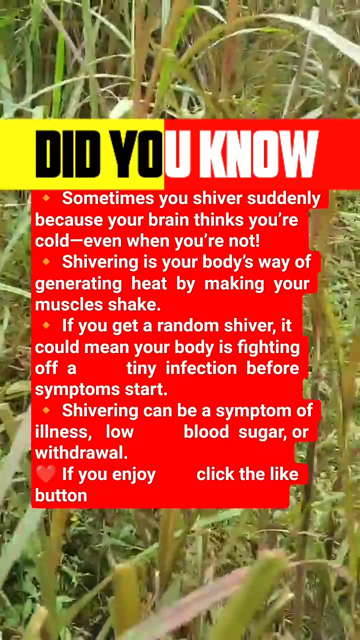 It can mean your body fights infection. #facts #DidYouKnow | RK Brain ...