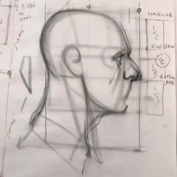 Copy this! Anatomy/ head structure breakdown demo. #art #drawing # ...