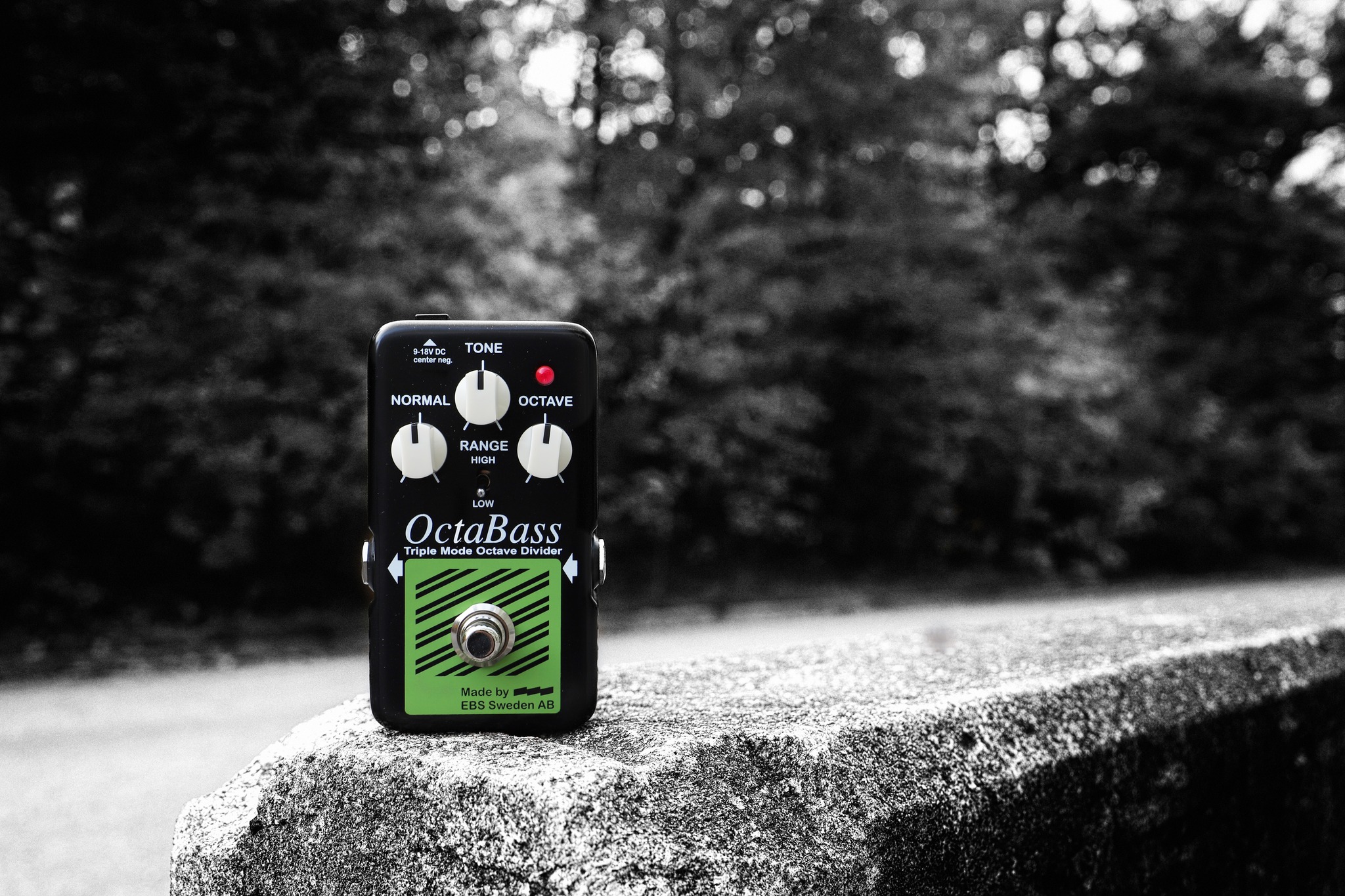 ベース EBS Octa Bass BLACK LABEL Studio Edition EBS Introduces