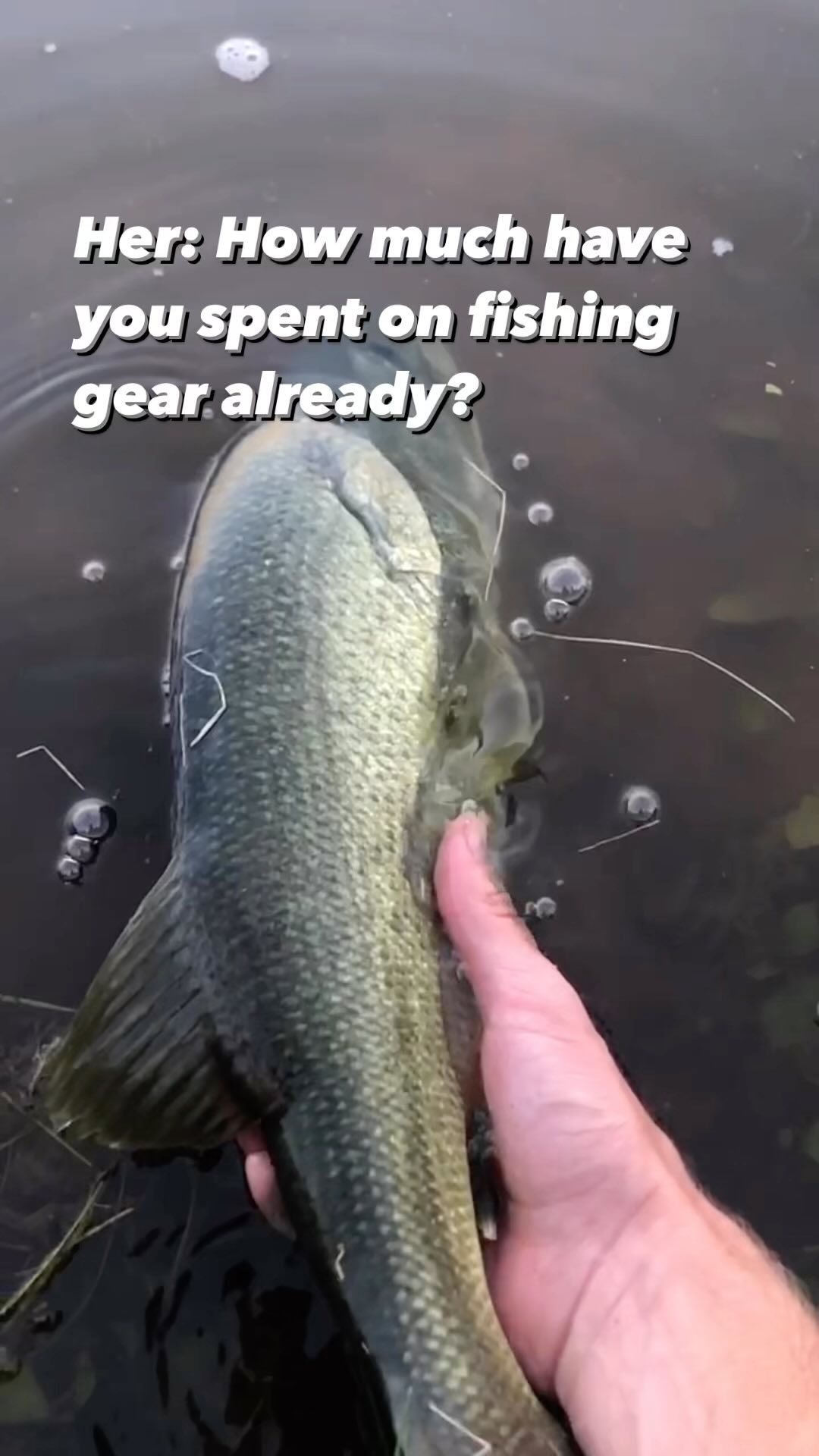 How much have you spent on fishing gear? Ummm I don’t track this kind ...