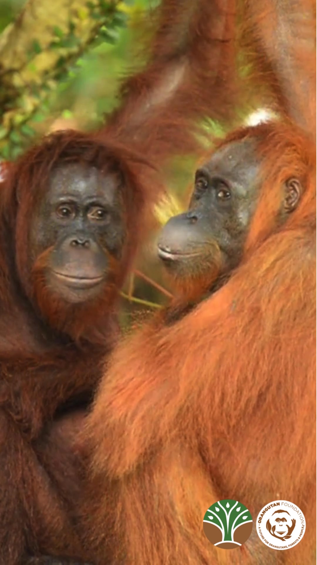 This Mother’s Day, we look to this rare and interesting encounter! 🧡 ...