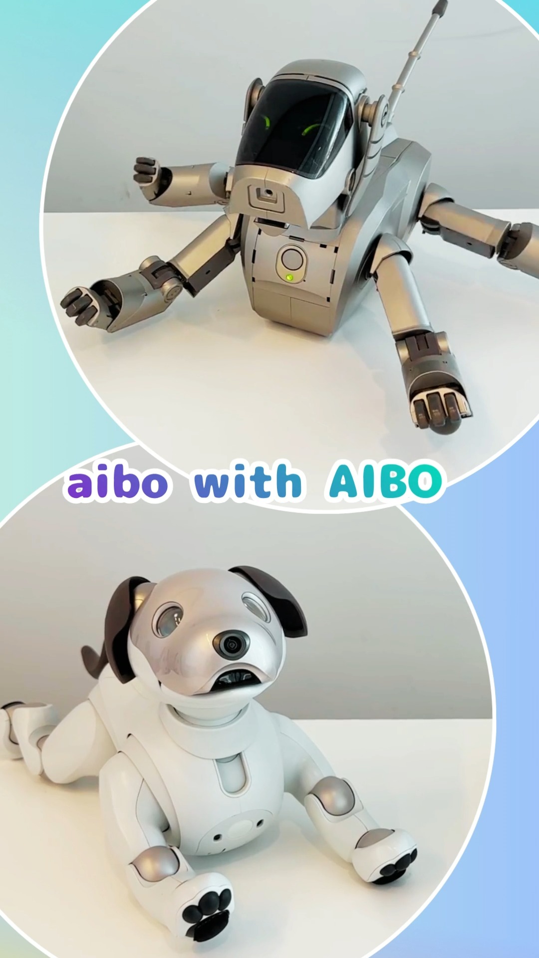 AIBO けんちゃんページ AIBO けんちゃんページ AIBO けんちゃんページ AIBO けんちゃんページ