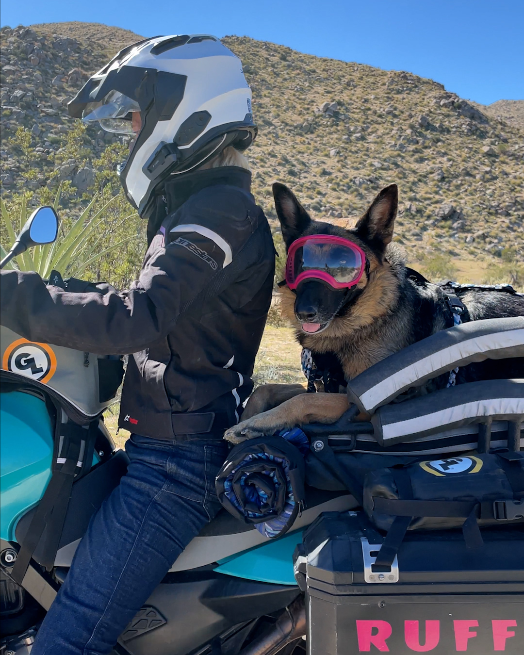 german shepherd motorcycle helmet Lowest Profile Everywhere You Ride Wearing This Dog Helmet Cover Youll Brighten Peoples Day The kind of Baggage I'd