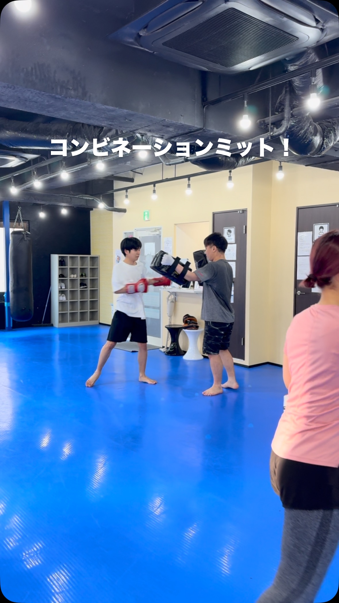ファイト フィット 蒲田