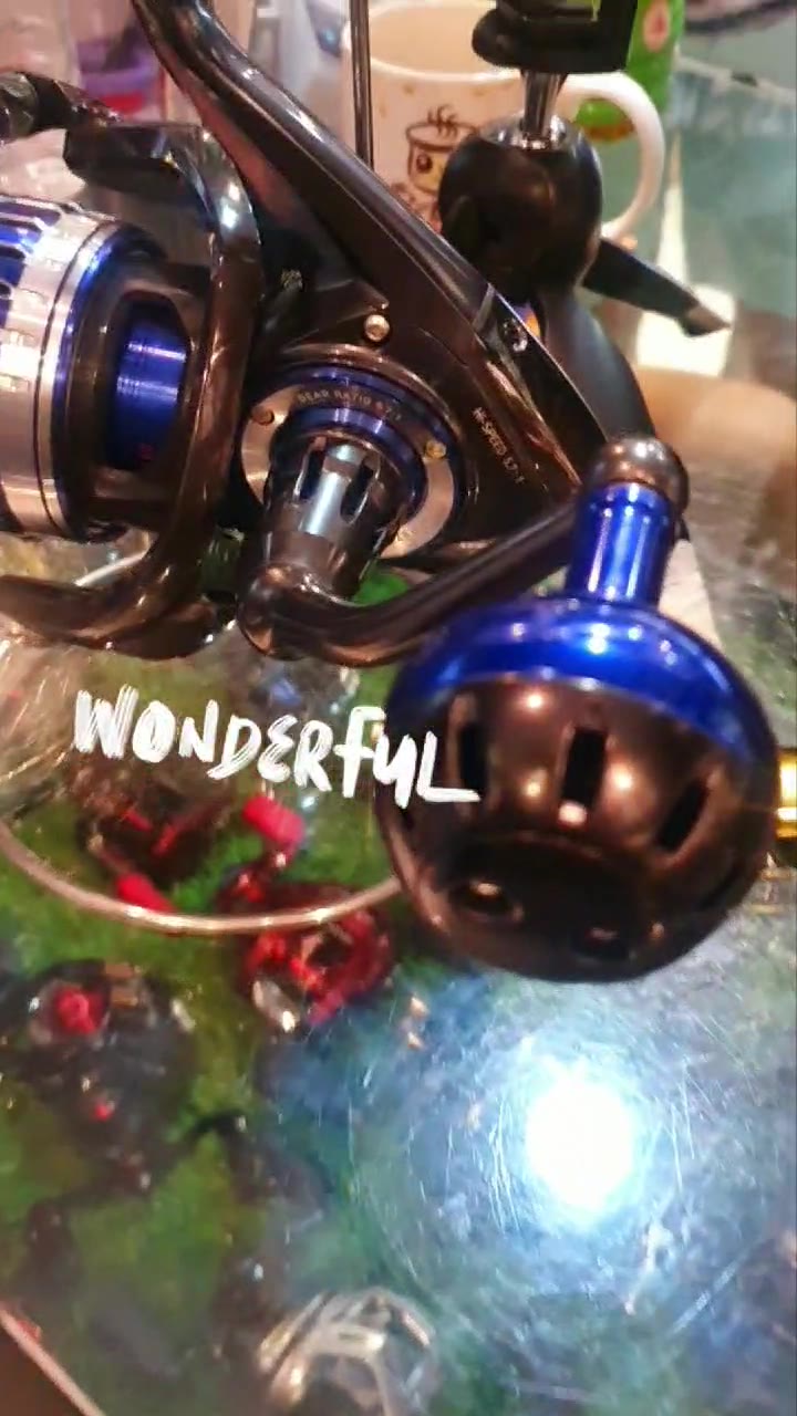 daiwa saltist 6500 h 5.3:1 Gear Spinning Reel, 48.70