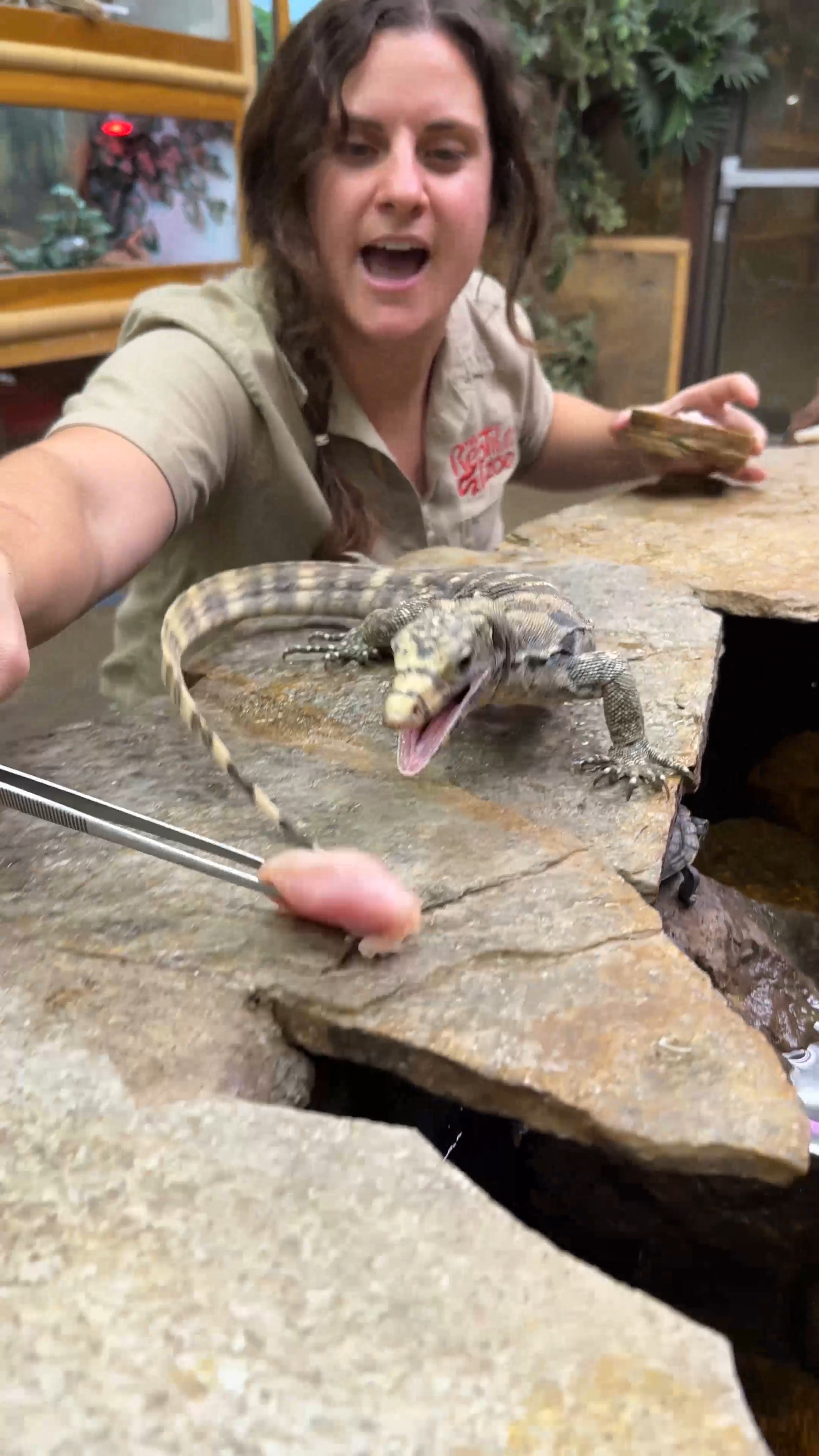 Curated visual reference: Feeding Animals Is Always A Fun Time Things Can Escelate Photo Inspiration