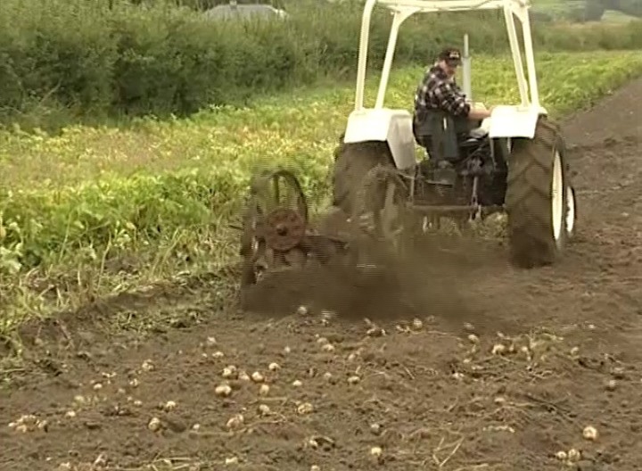 Digging Spuds in Donegal A few clips from 
