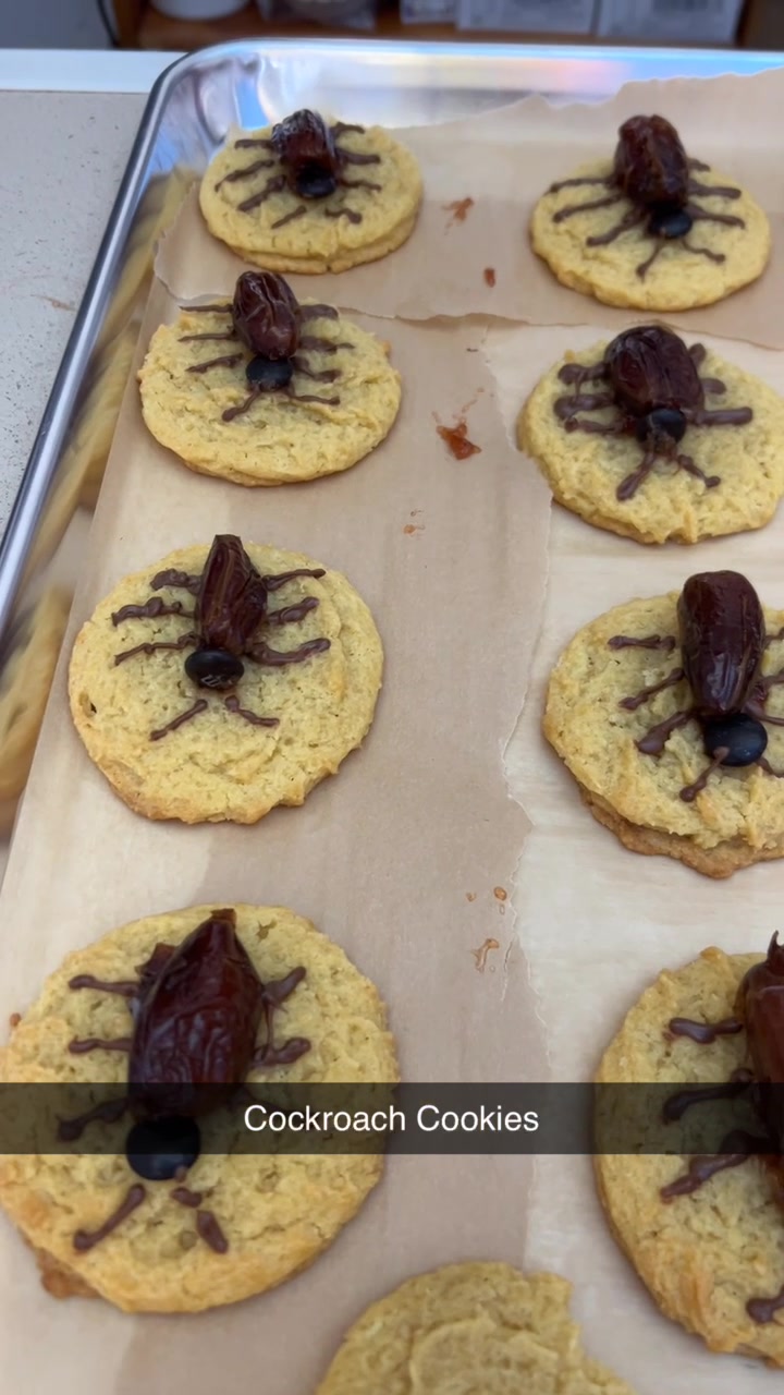 Cockroach Cookies have arrived at the bakery 🧁 | Cheyenne Peri Lee ...