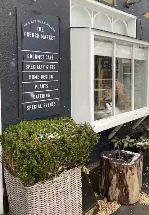 The French Market - Home