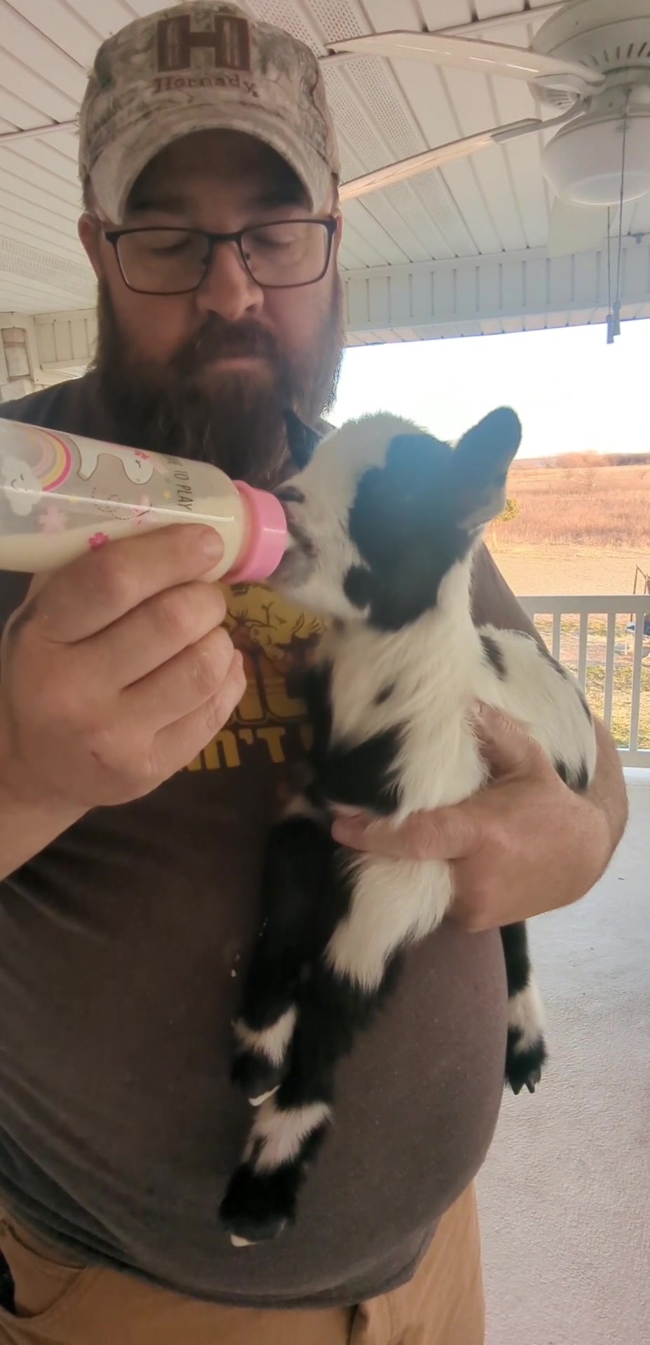 Top Dog Ranch | Valley View TX