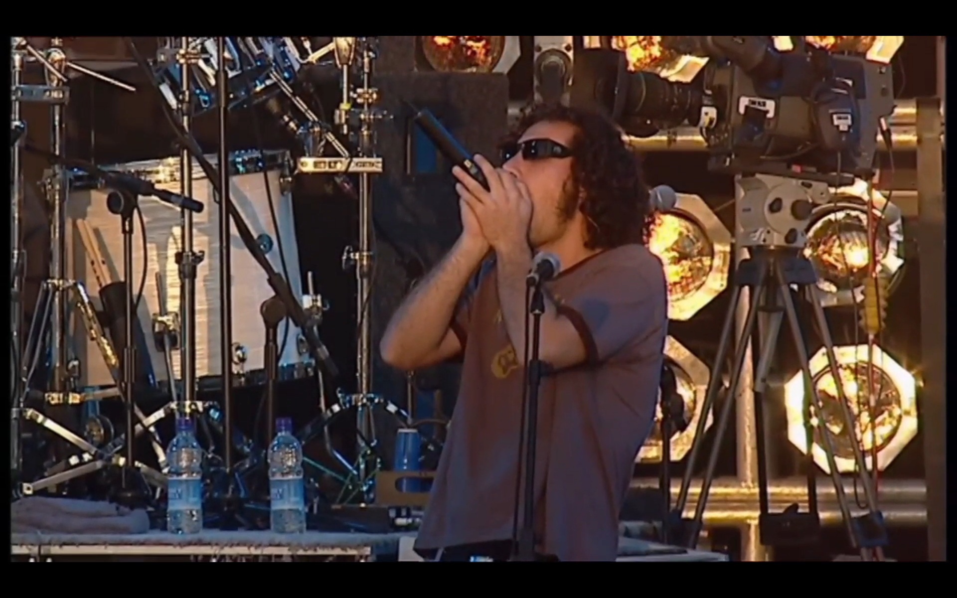 My tapeworm tells me what to do! System Of A Down performing 'Needles ...