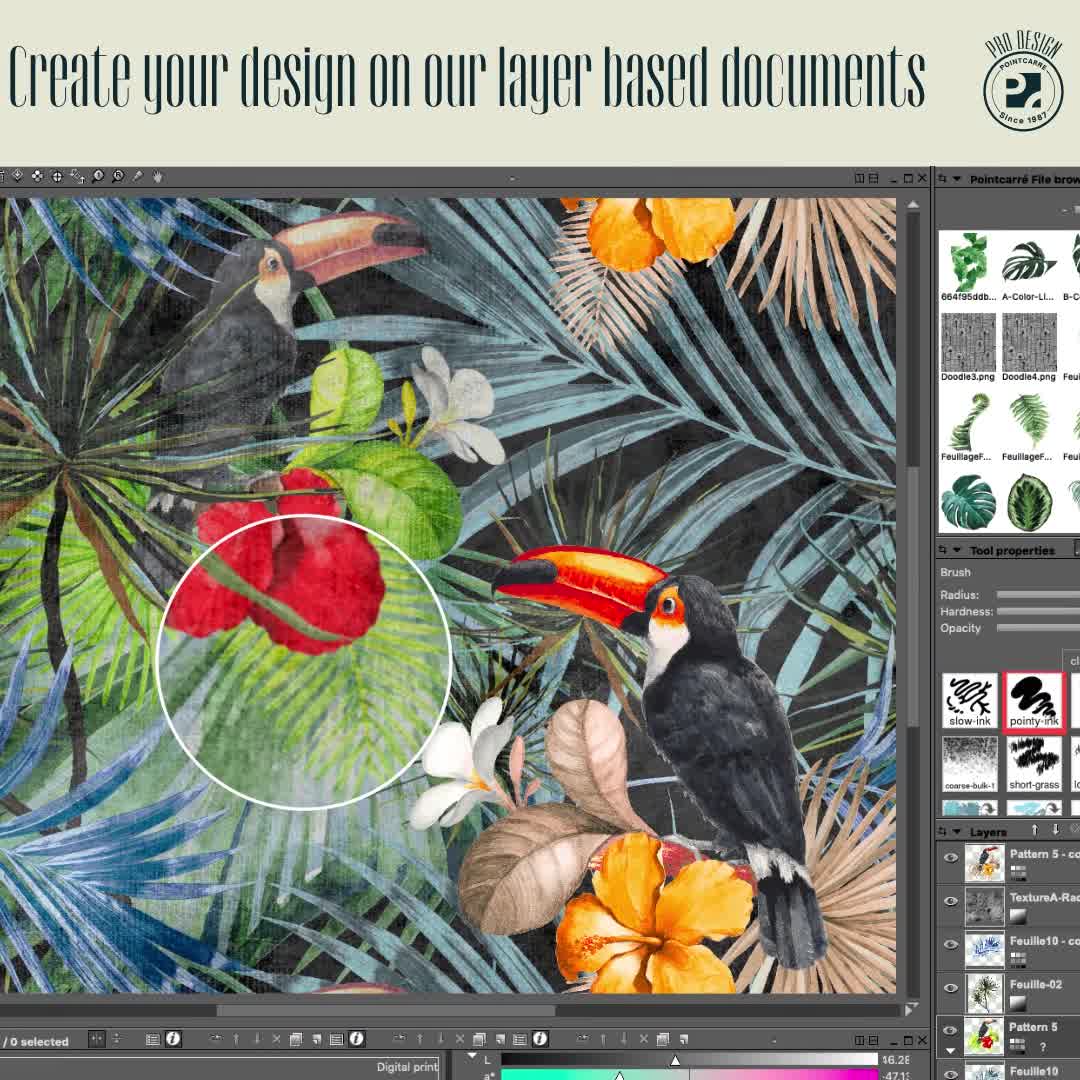 Pointcarre Pro Design, a Package with a complete set for textile ...