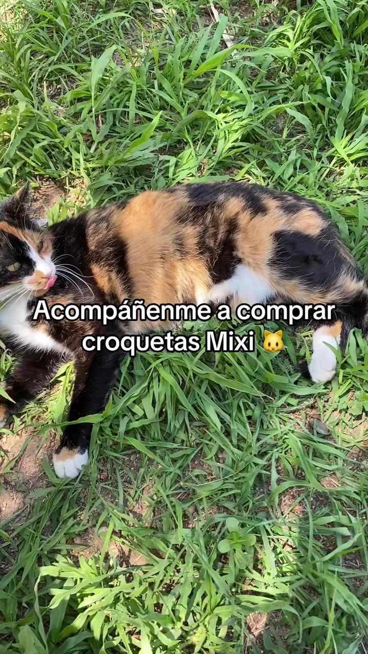 Mixi Acompáñenme a comprar Mixi 🤩💗🐈