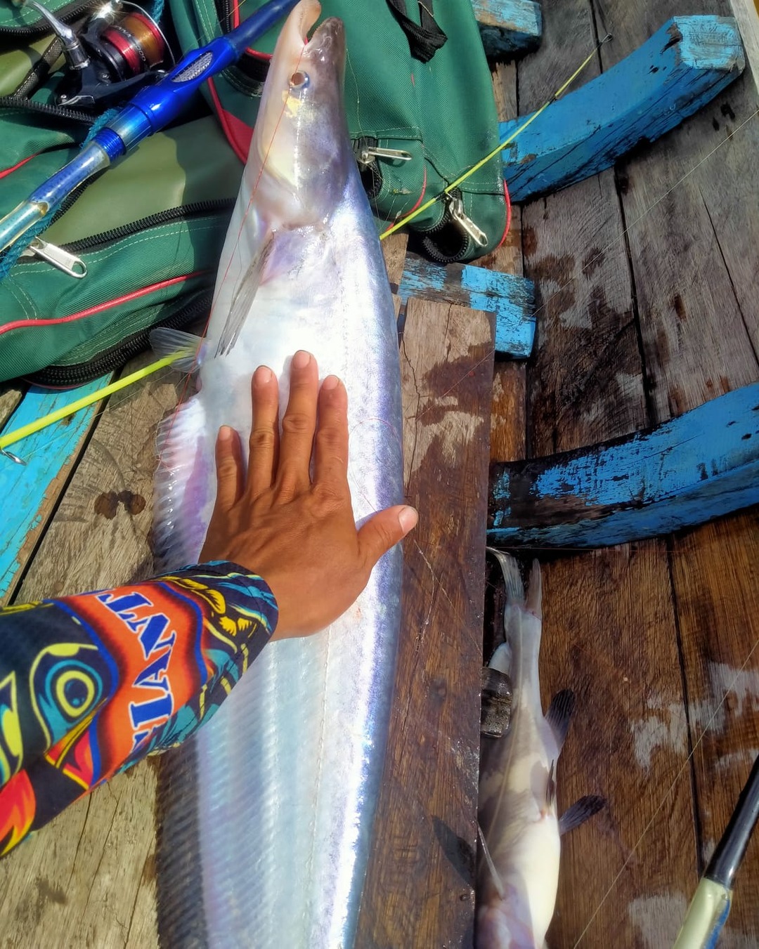Hidung muda ikan paling di incar pemancing #mancingudang #mancingmania ...