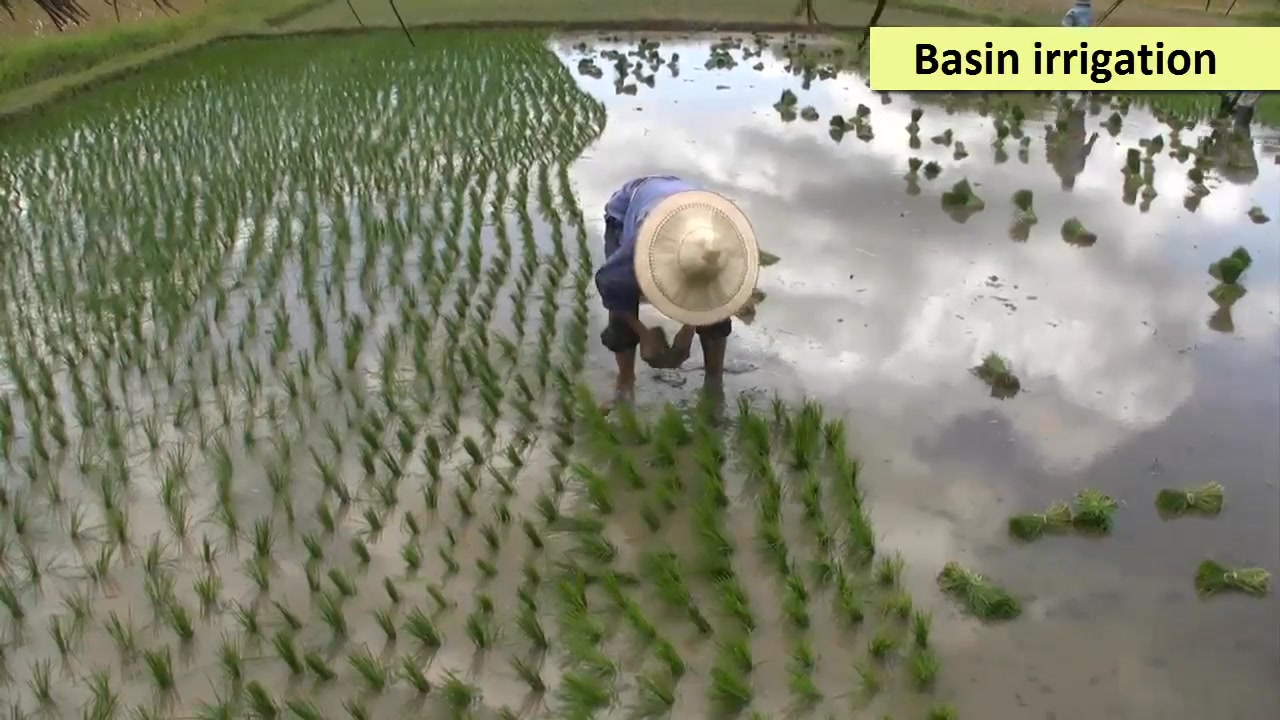 Want to choose the best irrigation system for your farm? 💧 In this ...