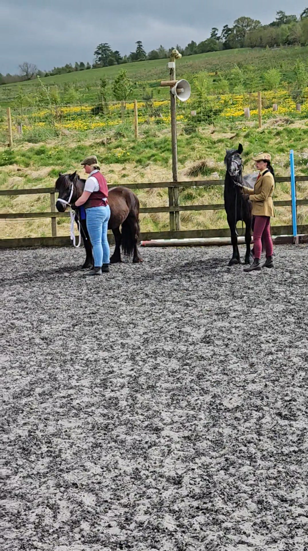 Thank you to everyone who made yesterday's Ridden Show and today's In ...
