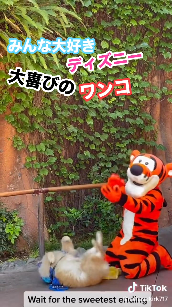 動物の涙 #ディズニー #ティガー #犬 #ペット #猫 #動物 #dog #cat