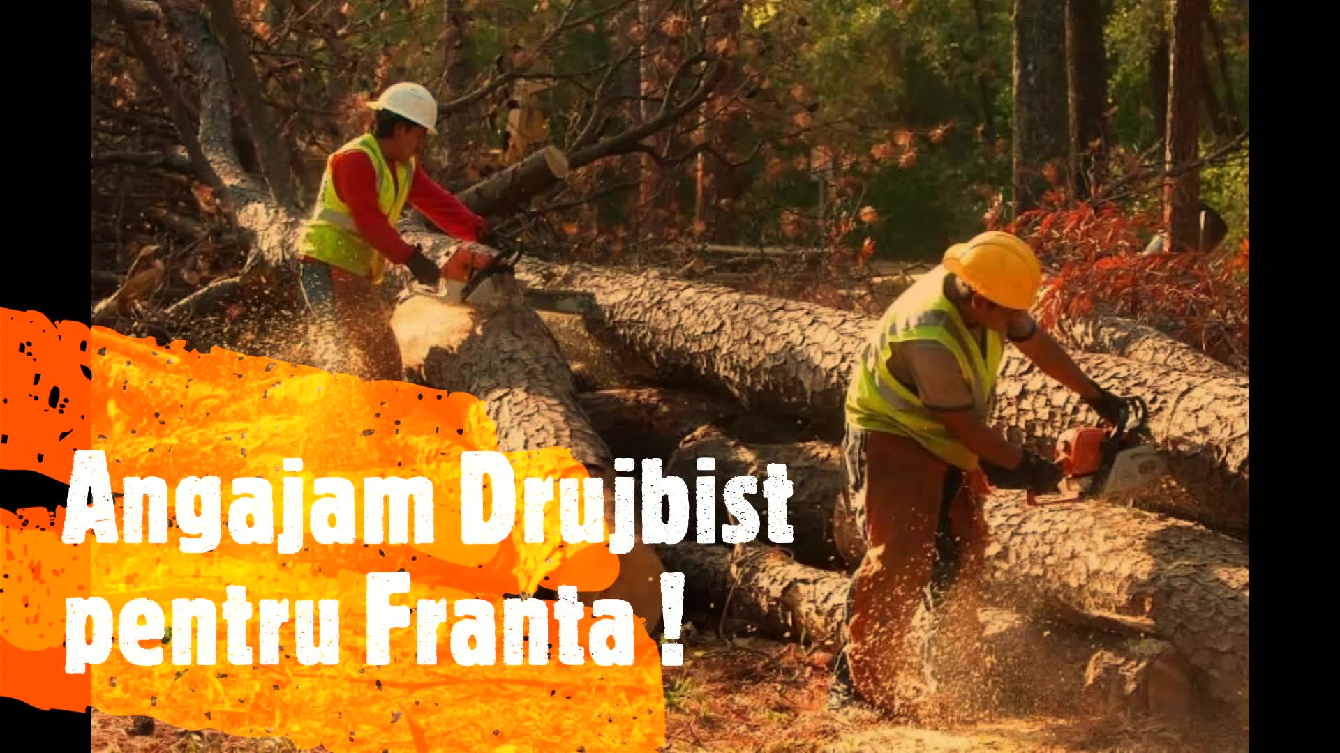 Angajam Drujbist Fr | Angajam Drujbist pentru pentru Franta ! Contact ...