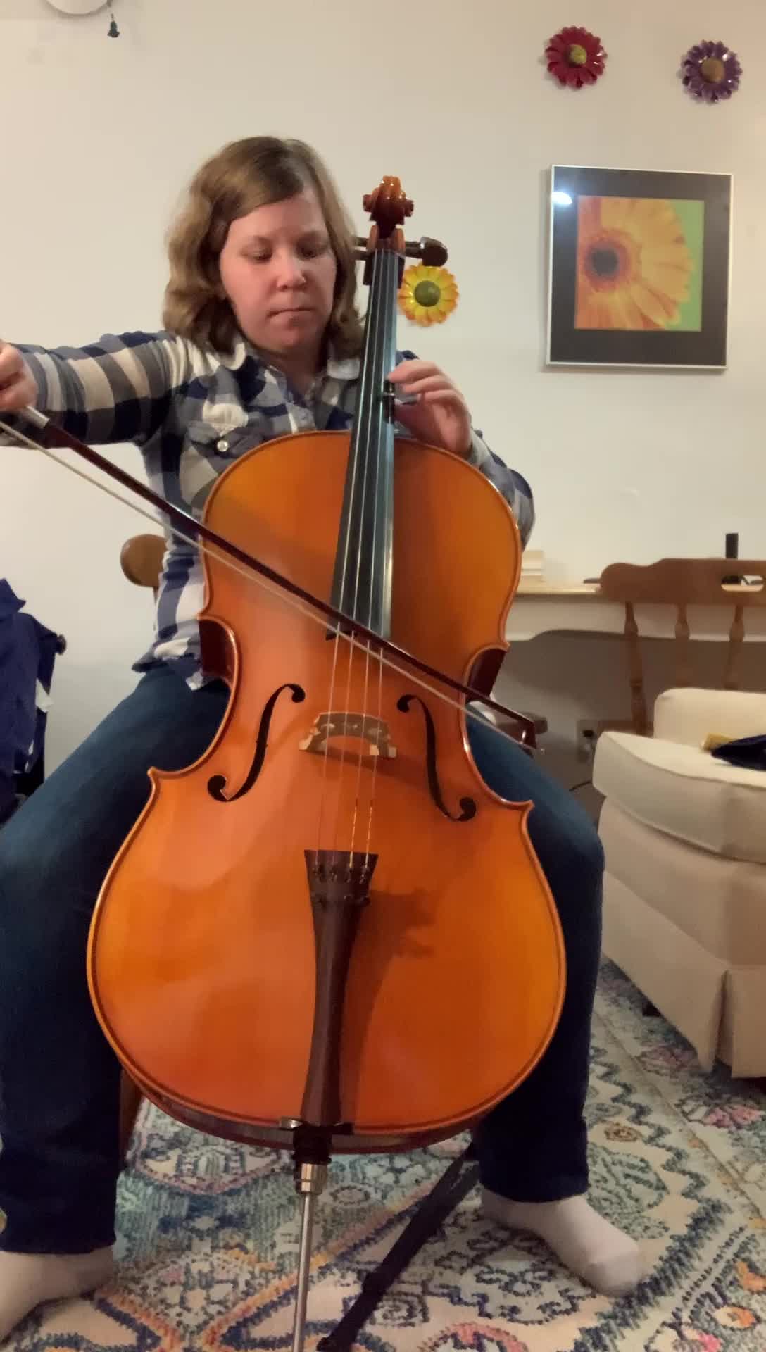 Stephanie Knapper Cellist - Home