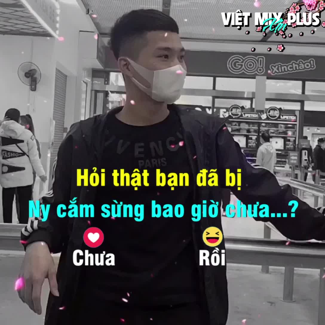 VIỆT MIX PLUS