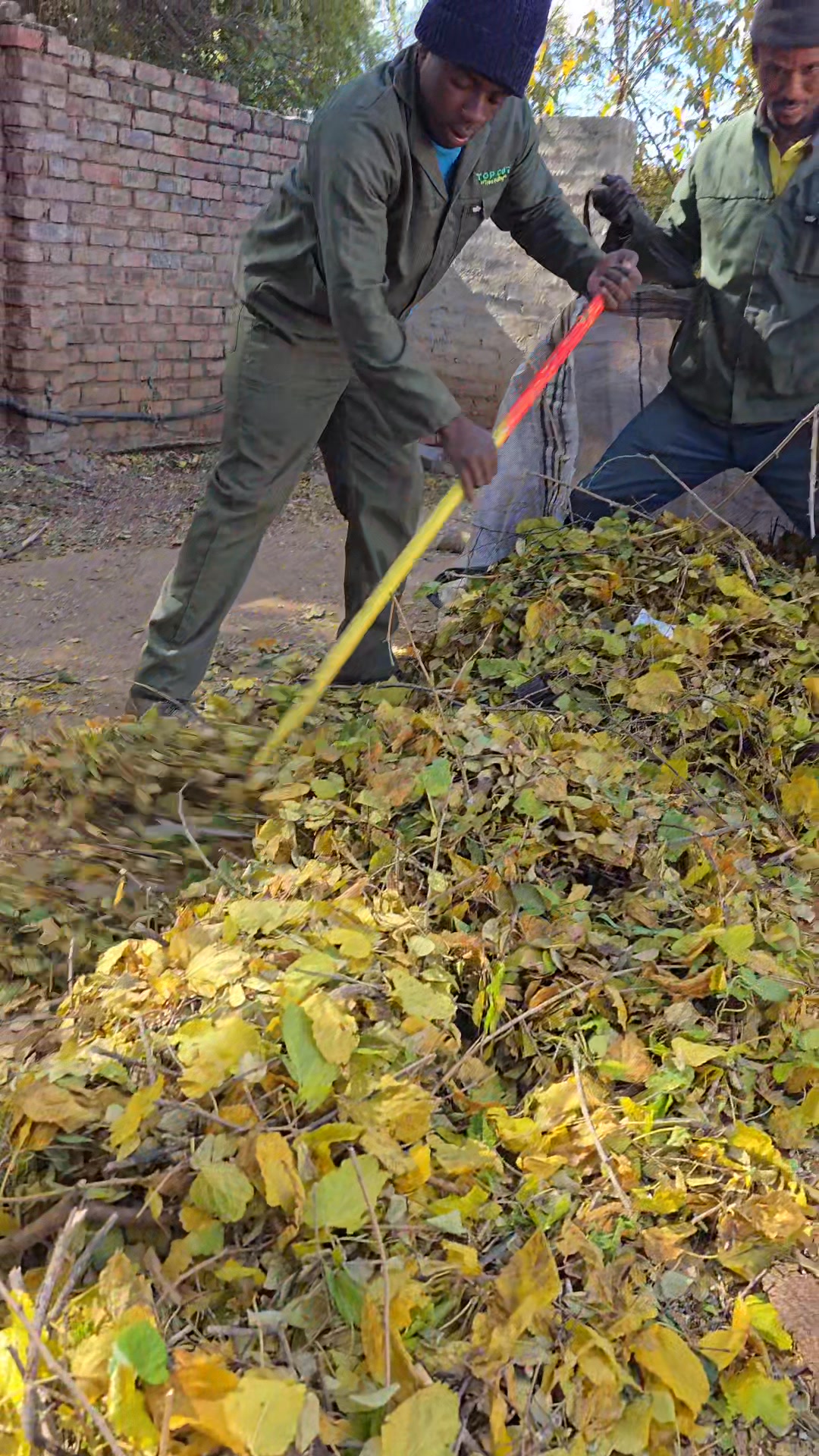 Top Cut Tree Felling & Landscaping | Kuruman
