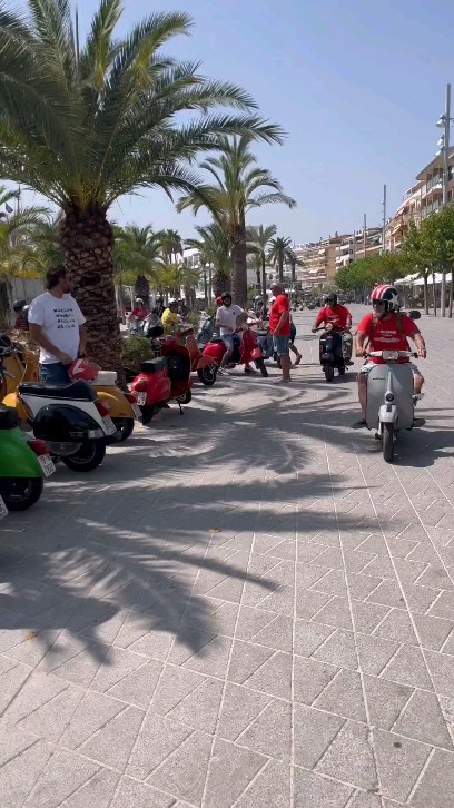 Borinos Mallorca | Inca