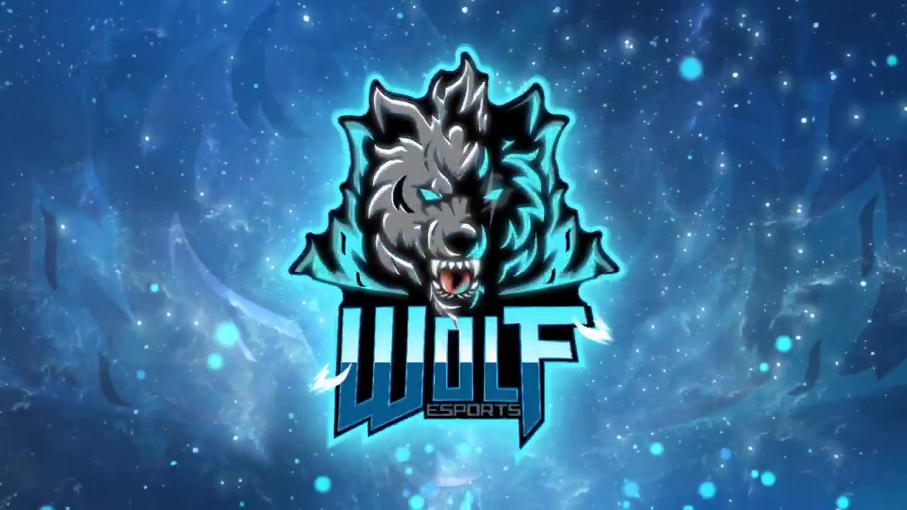 WOLF ESports • CODM
