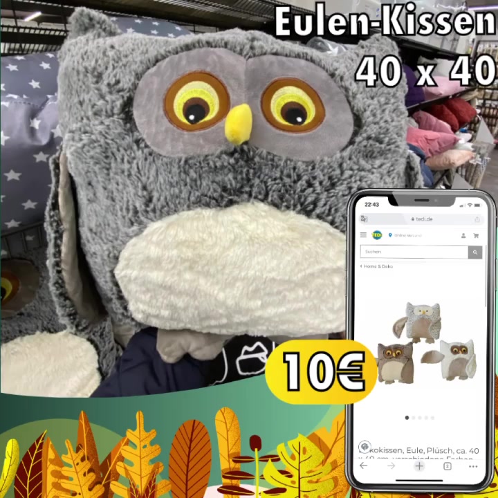 Für die Eulen-Fans unter uns. 🦉😍 Auch online. 🛒🛍️, •, •, •, #deko #kissen #homedecor #home #homeliving #style #tedi #zuhause #eule #couchkissen #gemütlich | TEDi Deutschland