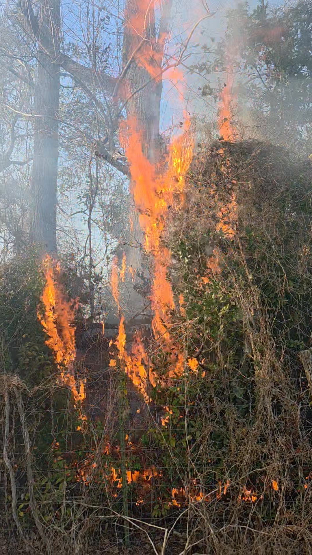 Atkinson County Ema/Fire | Pearson GA