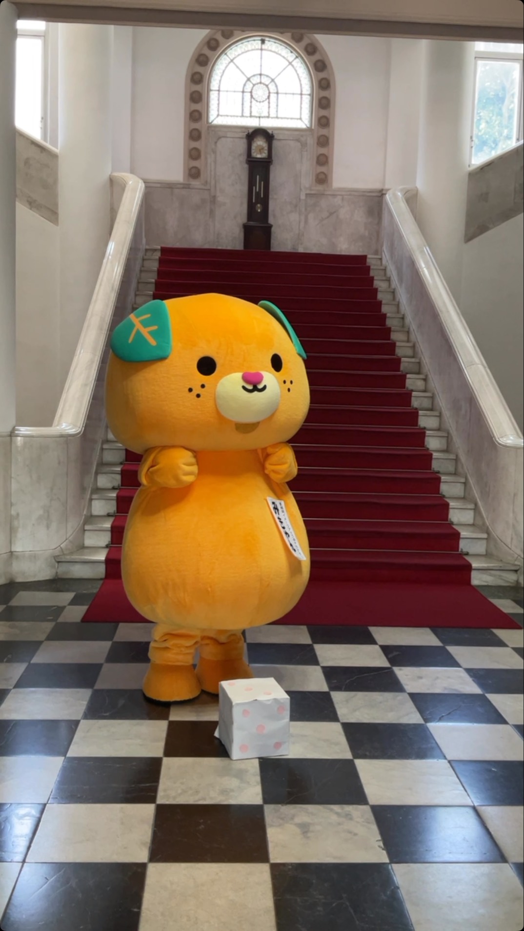 みきゃんのかんづめ | Matsuyama Ehime