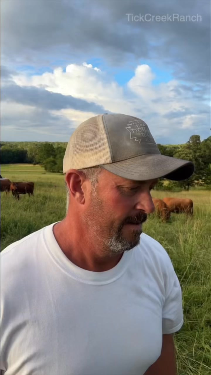 Why we run horses with our cattle? Teamwork on pasture means better ...