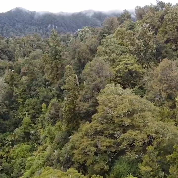RAKAU