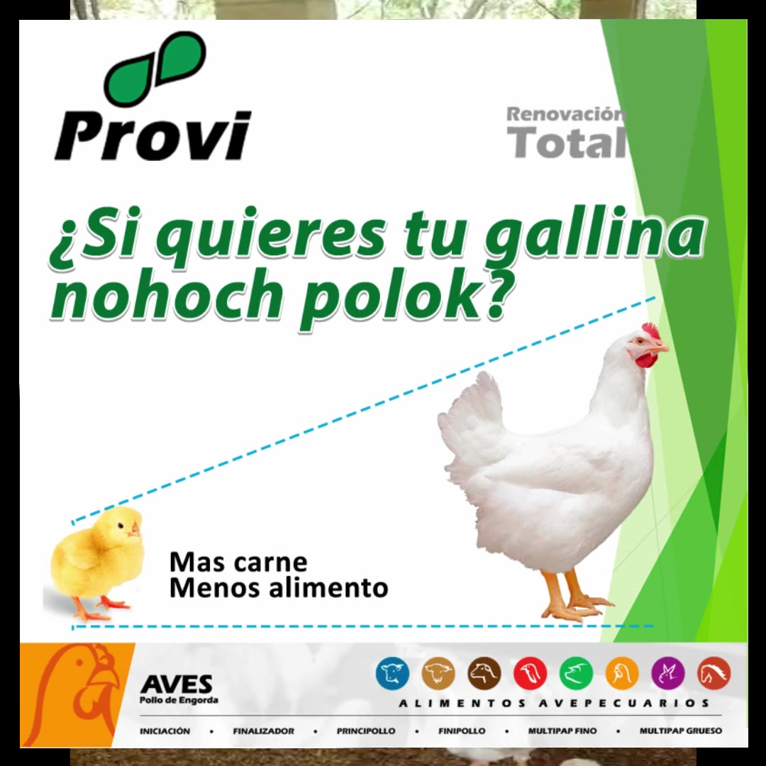 Provi Tips | Mérida
