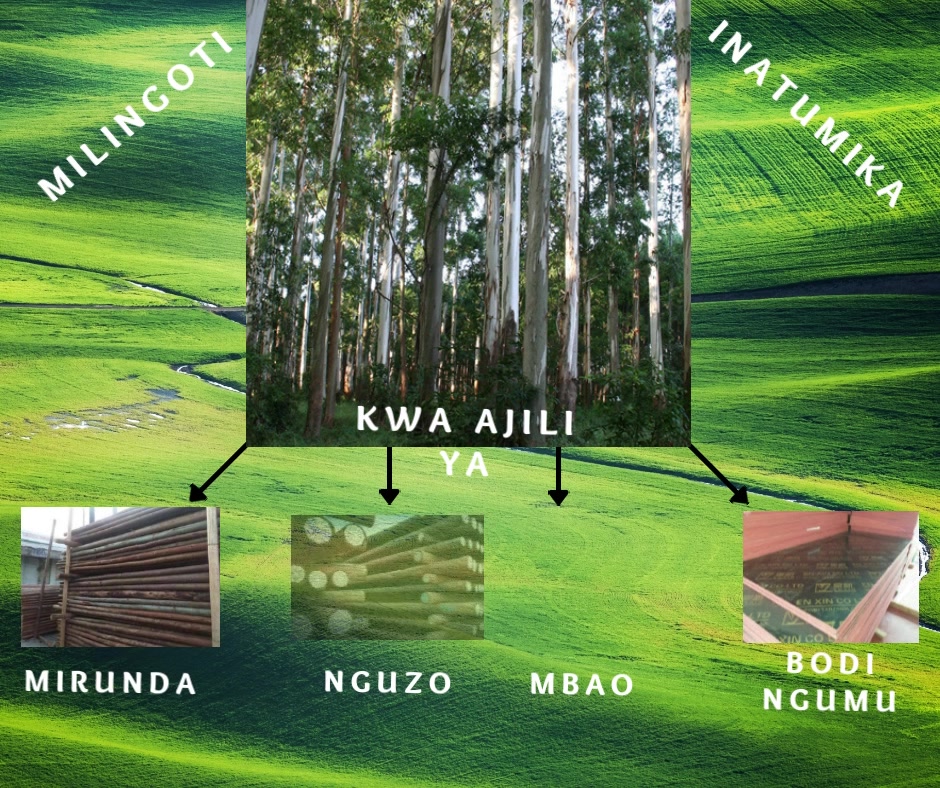 Kilimo cha miti