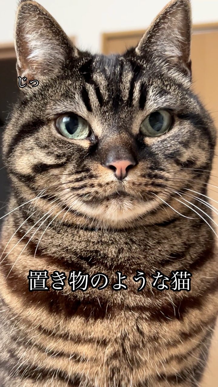 にゃん助さん