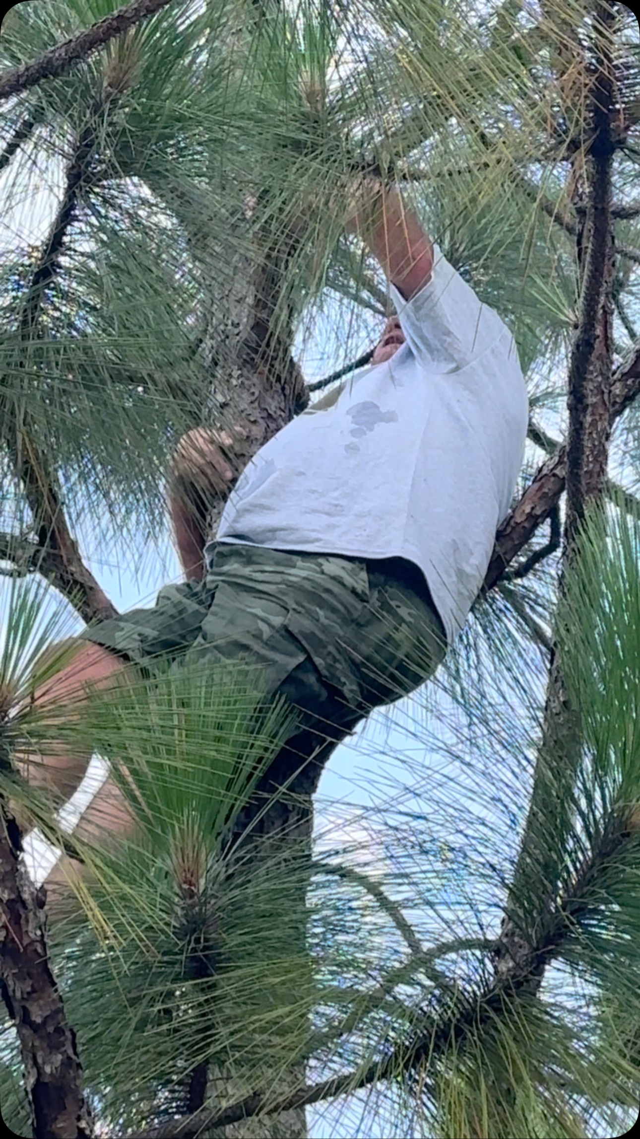 The man is running surveillance up in a damn tree | Willie and Chad ...