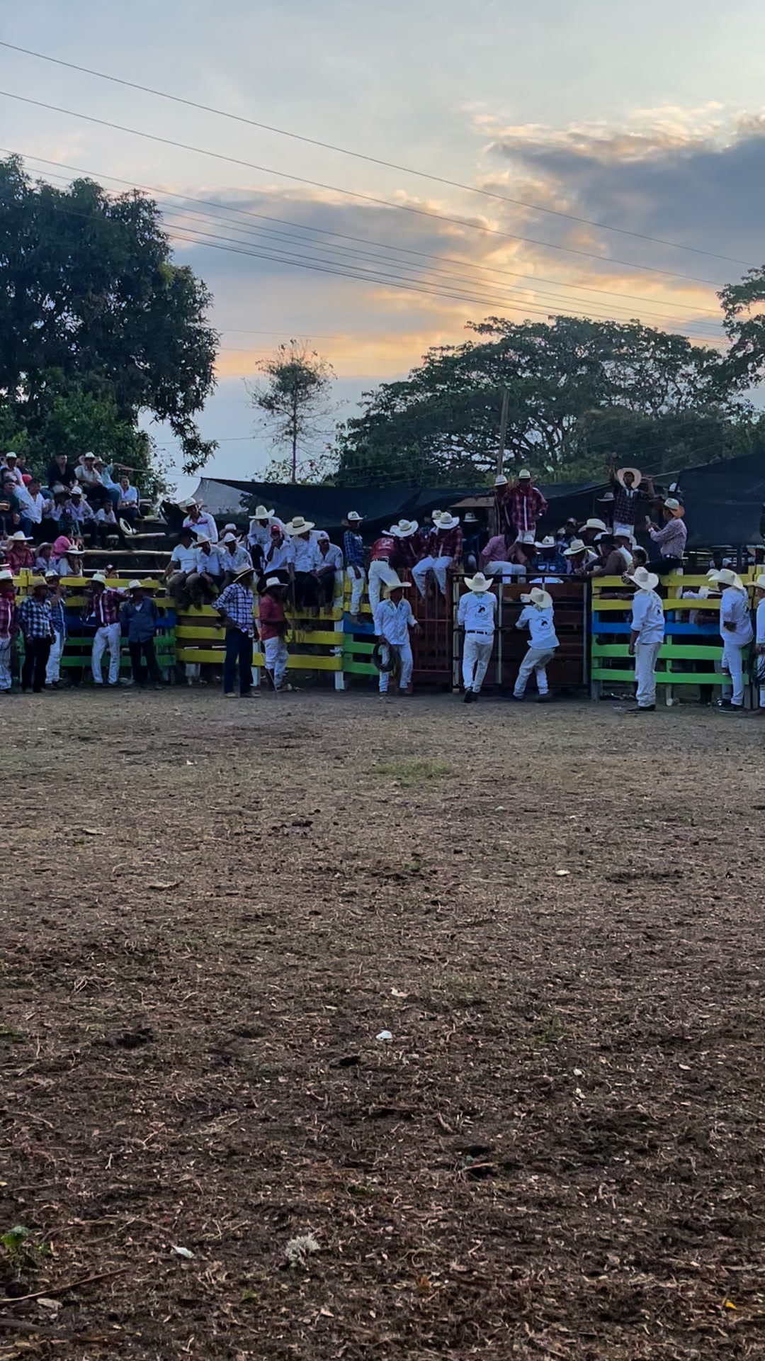 Rodeo San Felipe - Balzar, Hda. Adelaida #Balzar #Guayas #Ecuador # ...