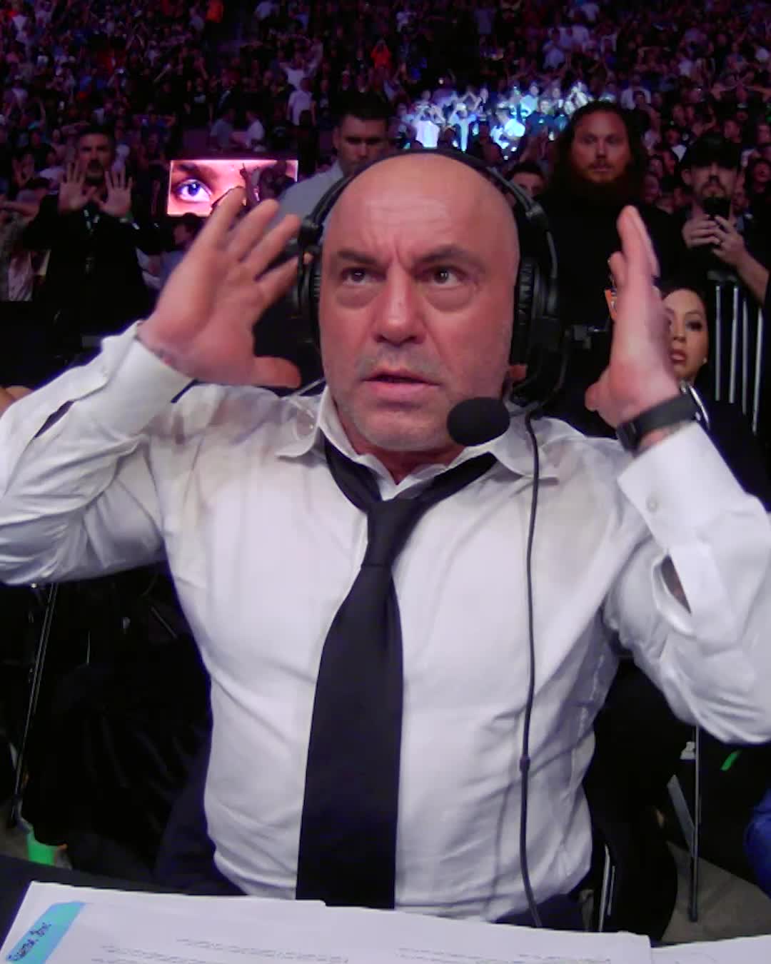 Joe Rogan's reaction to Leon Edwards knocking out Kamaru Usman is ...