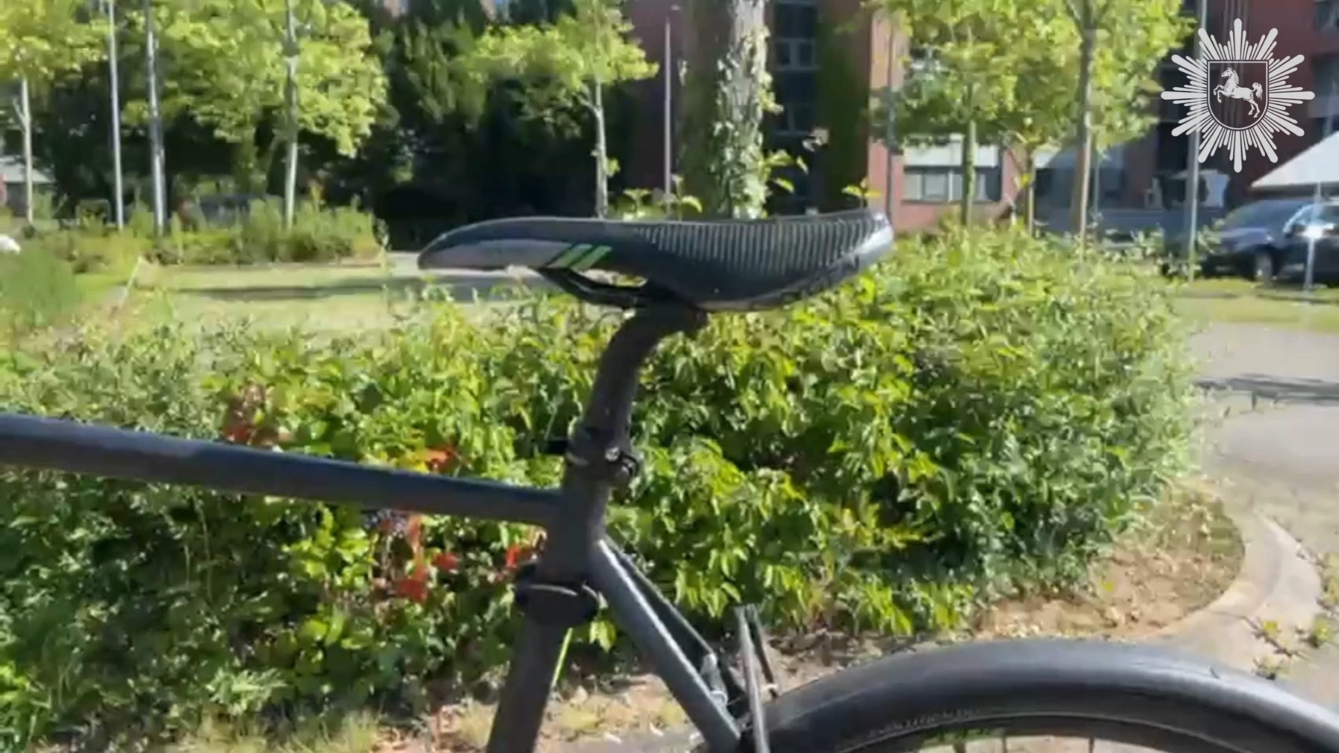 modulation effects pedal Old Blood Noise Endeavors Visitor Effect Size:Camo Its robust construction ensures Frame Fit:Medium/Large Ebike Transportfahrrad Ultimate Harmony